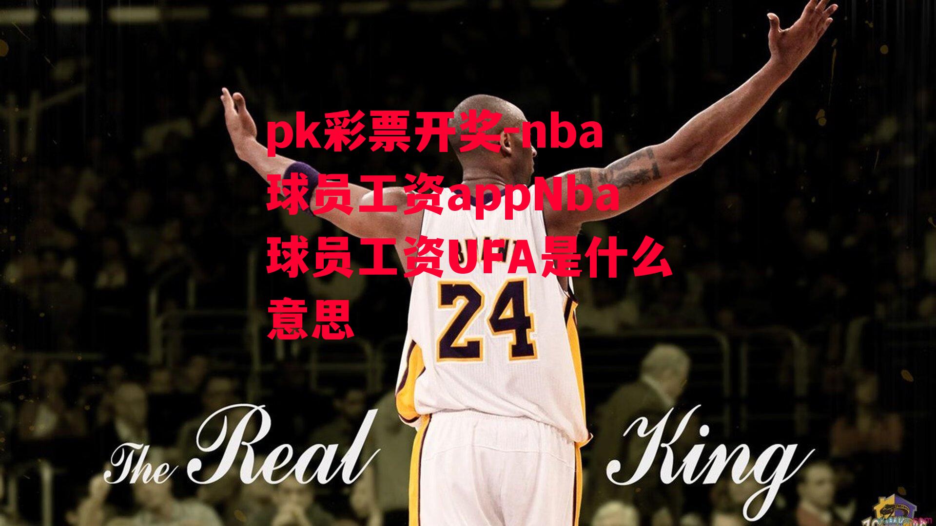 nba球员工资appNba球员工资UFA是什么意思